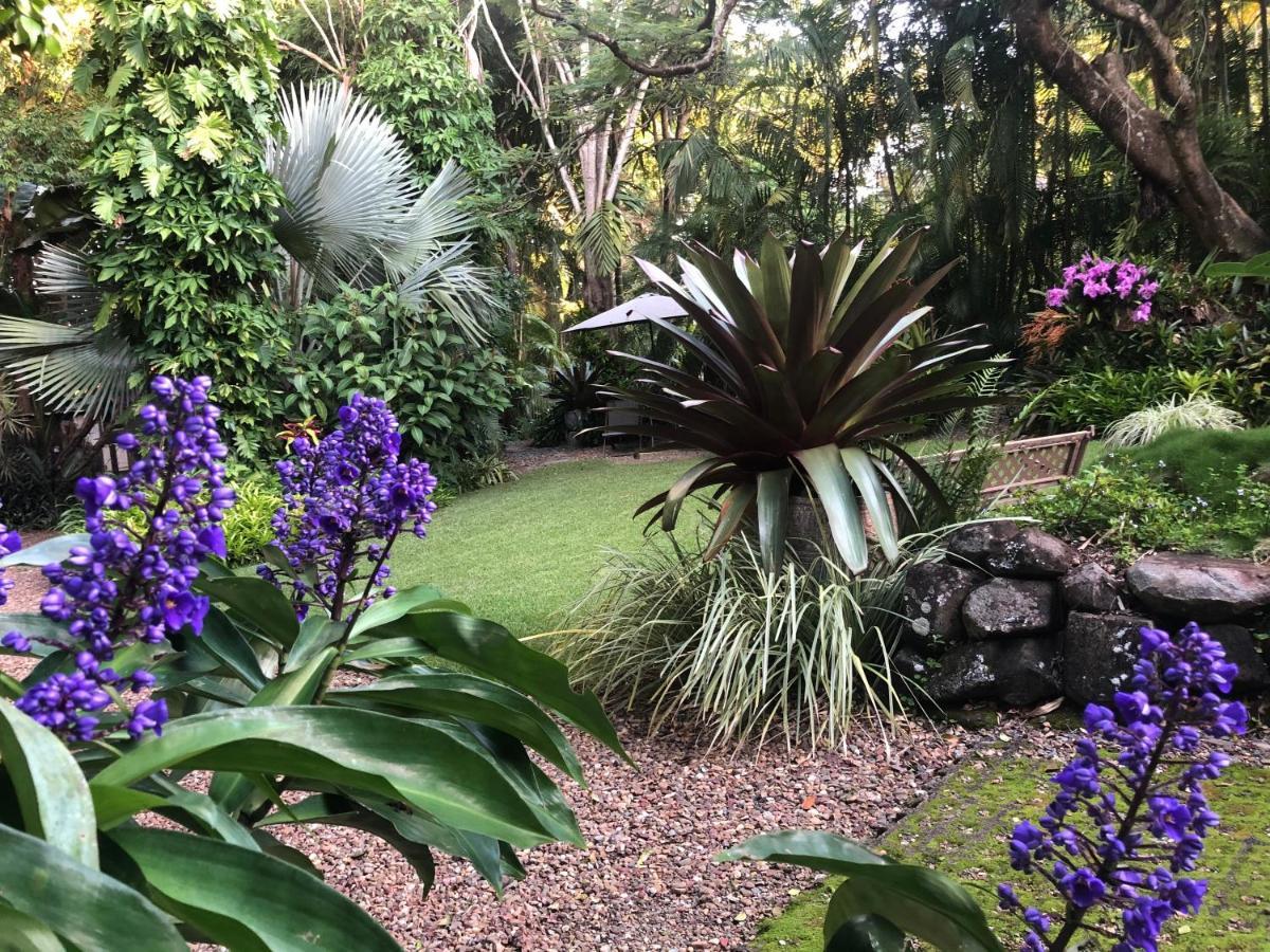 Eden Rest Bed and Breakfast Cooroy Buitenkant foto