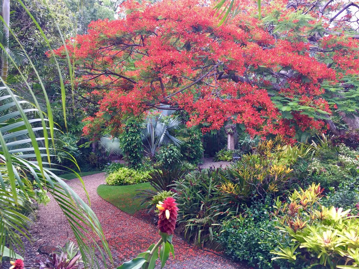 Eden Rest Bed and Breakfast Cooroy Buitenkant foto